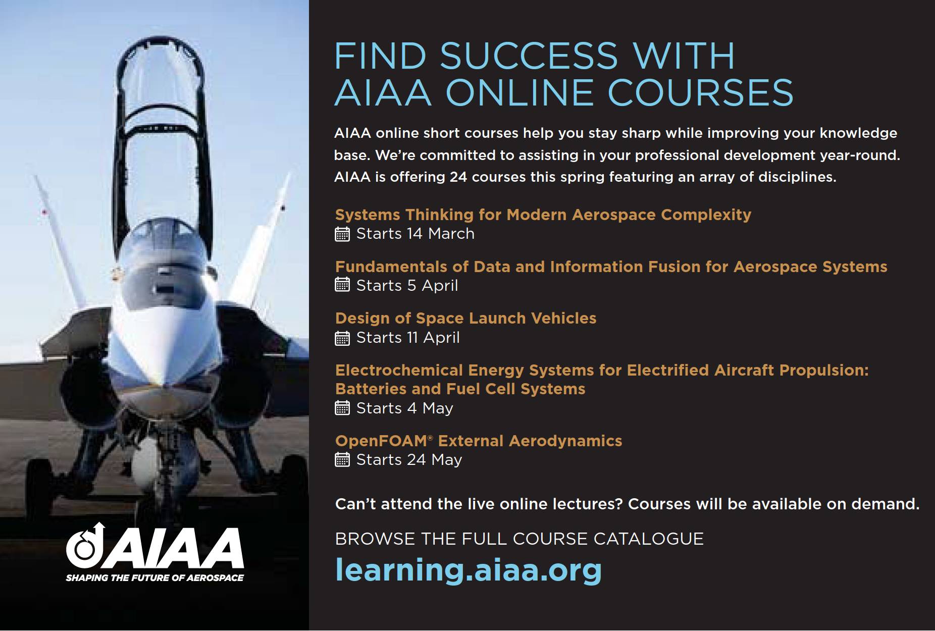 RAeS Careers